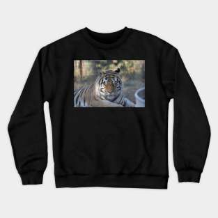 Tiger Crewneck Sweatshirt